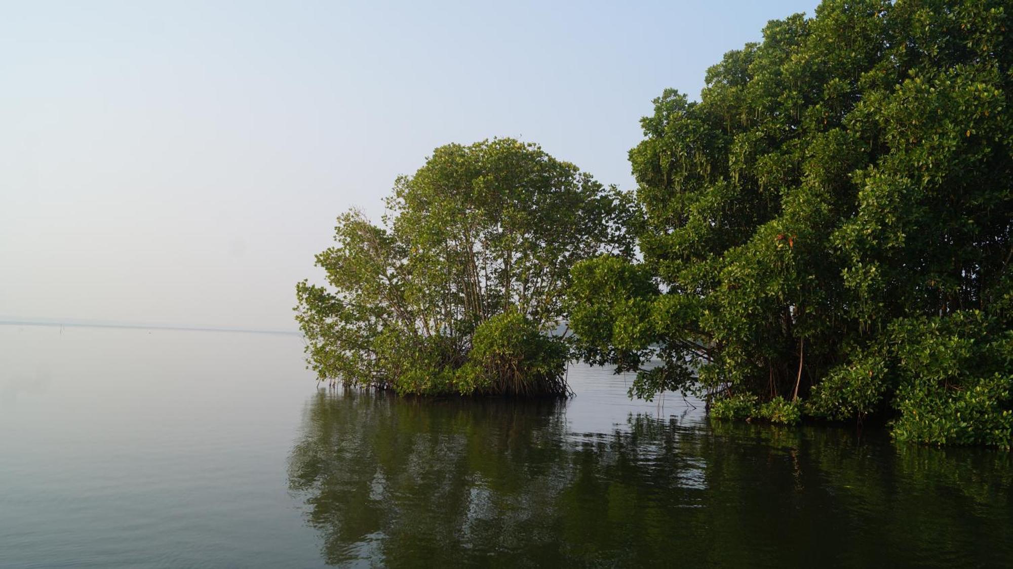 Blue Lake Villa Kollam Ngoại thất bức ảnh